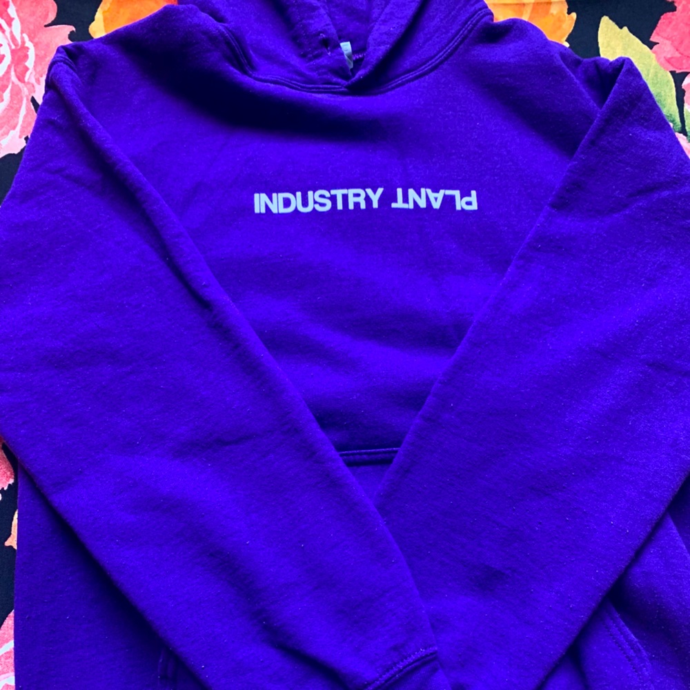 iann dior hoodie